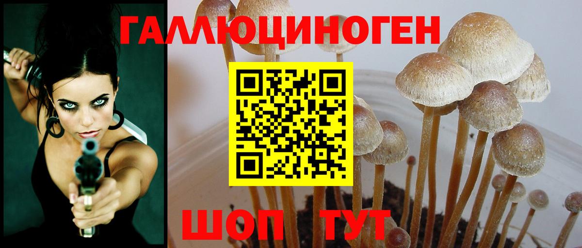 Псилоцибиновые грибы Psilocybe  Вход с VPN  Чапаевск  Псилоцибиновые грибы мицелий 